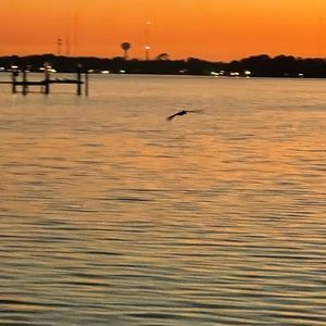 Meet your Posher, Sonia